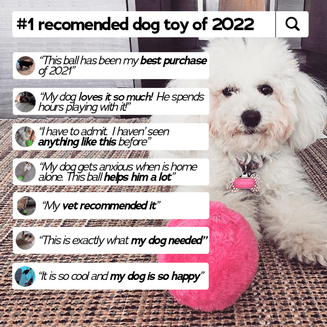 Sale💥Anti-Anxiety Automatic Moving Ball Dogs And Cat Toys