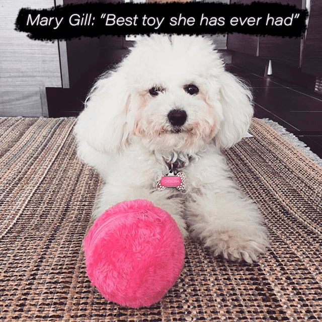 Sale💥Anti-Anxiety Automatic Moving Ball Dogs And Cat Toys